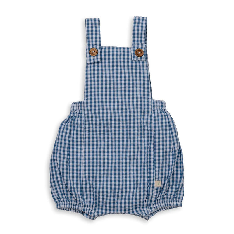 TINY TWIG OVERALLS BLUE GINGHAM