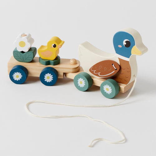 DUCK TRAIN SET