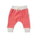 HALCYON NIGHTS WATERMELON ORGANIC PANT