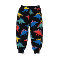 ROCK YOUR BABY DINO TIME TRACK PANTS